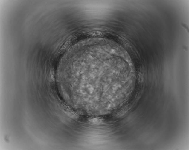 X0000099950561200806131450