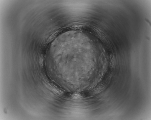 X0000099950562200806131450