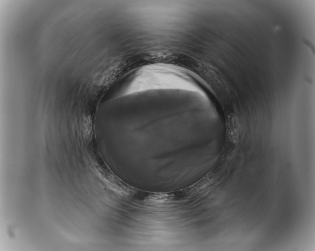 X0000099950563200806131450