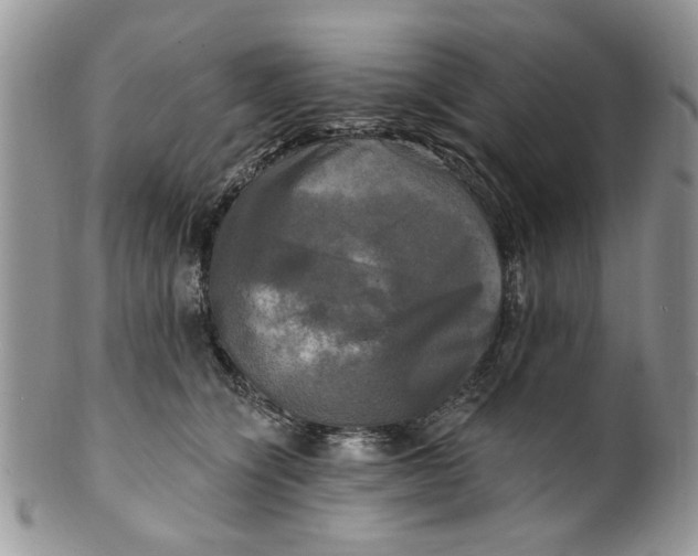 X0000099950564200806131450