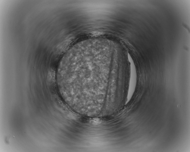 X0000099950565200806131450