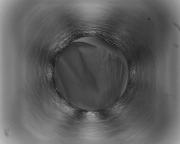 X0000099950566200806131450