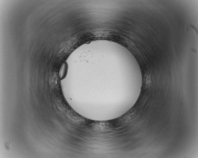 X0000099950567200806131450