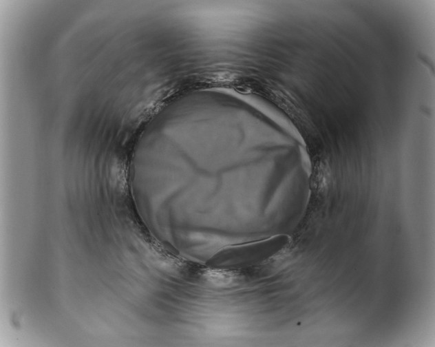 X0000099950568200806131450