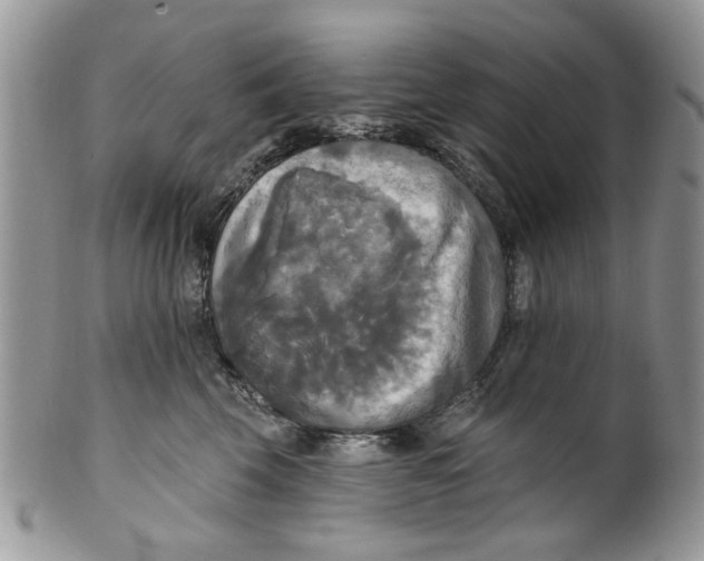 X0000099950569200806131450