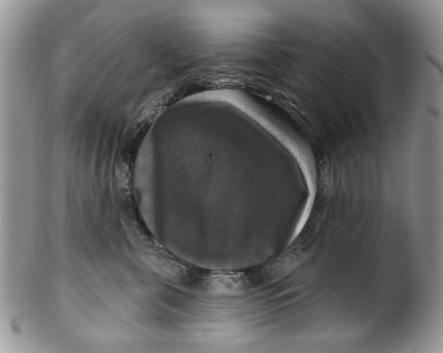 X0000099950571200806131450