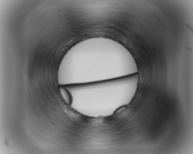 X0000099950574200806131450