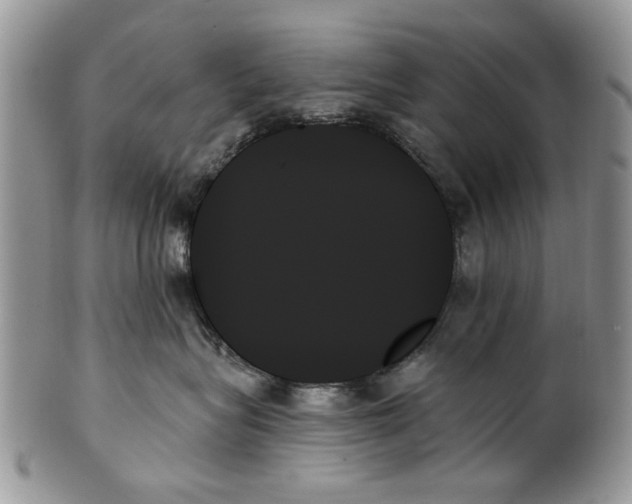 X0000099950575200806131450