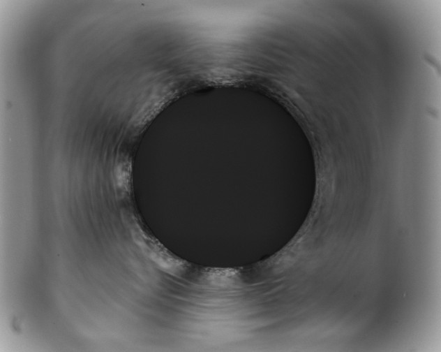 X0000099950576200806131450