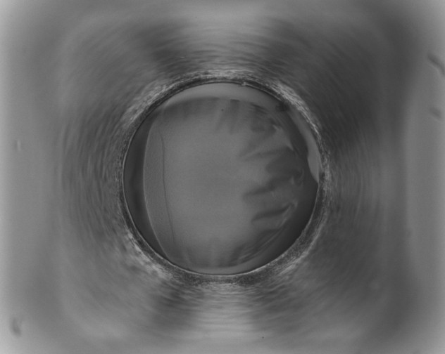 X0000099950577200806131449