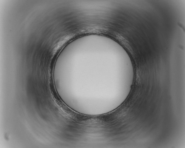 X0000099950578200806131449