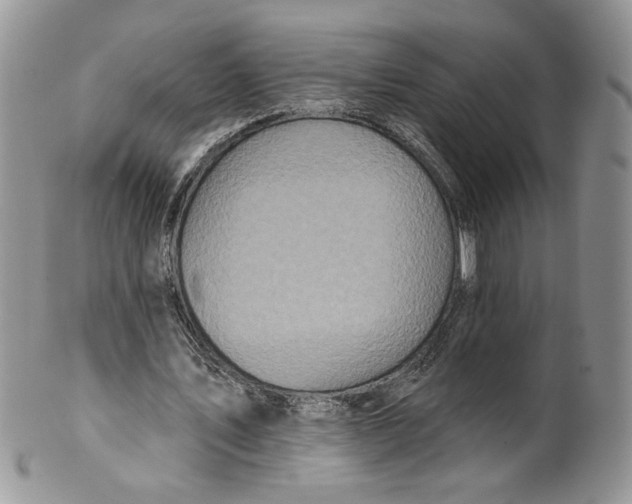 X0000099950579200806131449