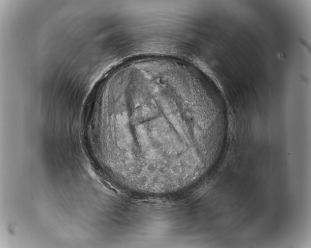 X0000099950580200806131449