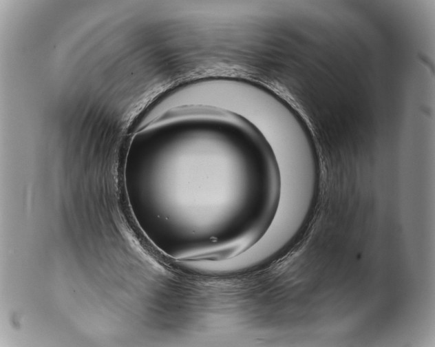 X0000099950581200806131449