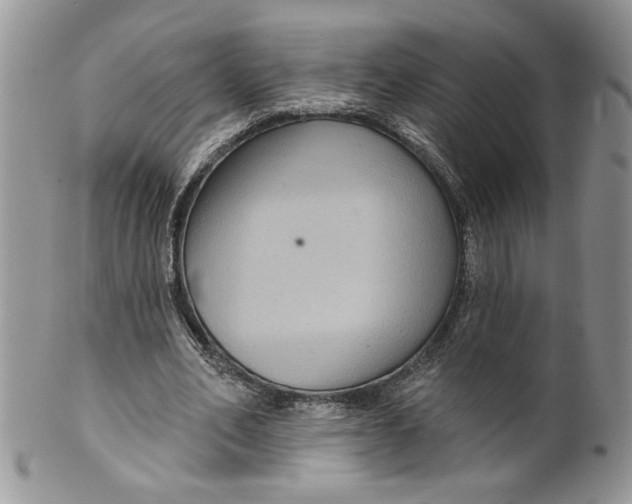 X0000099950582200806131449