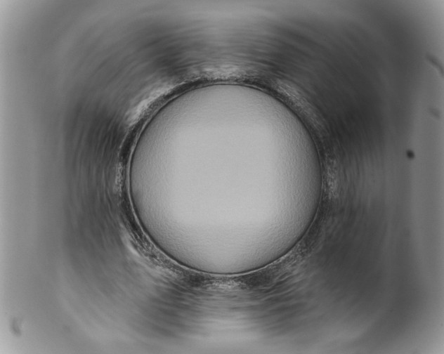 X0000099950583200806131449