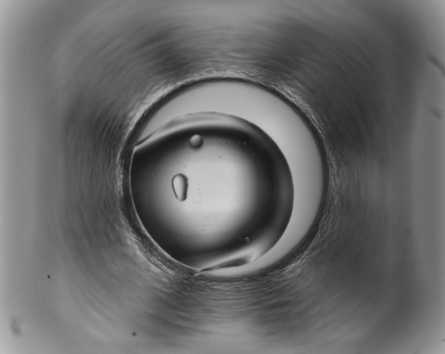 X0000099950584200806131449