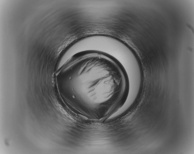 X0000099950585200806131449