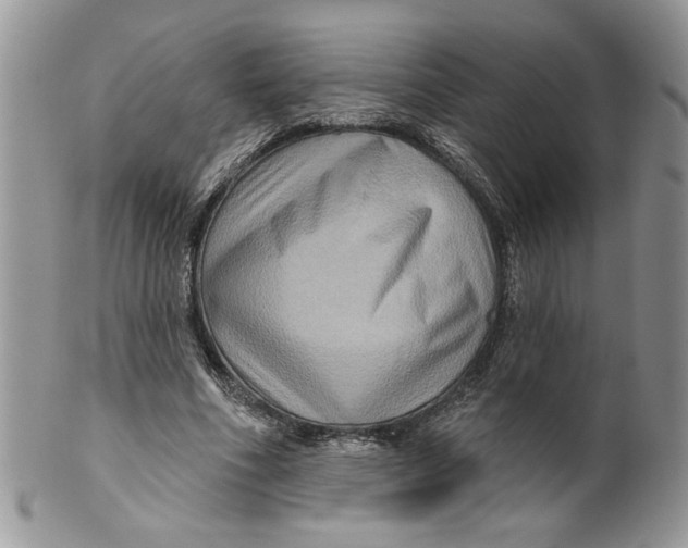 X0000099950586200806131449