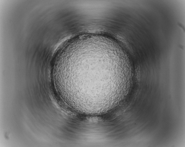 X0000099950587200806131449