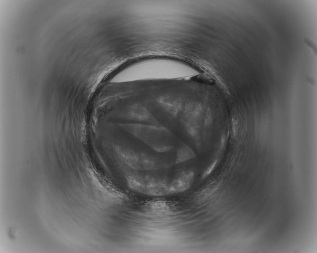 X0000099950588200806131449