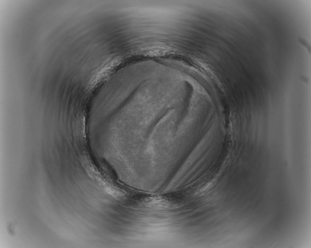 X0000099950589200806131449