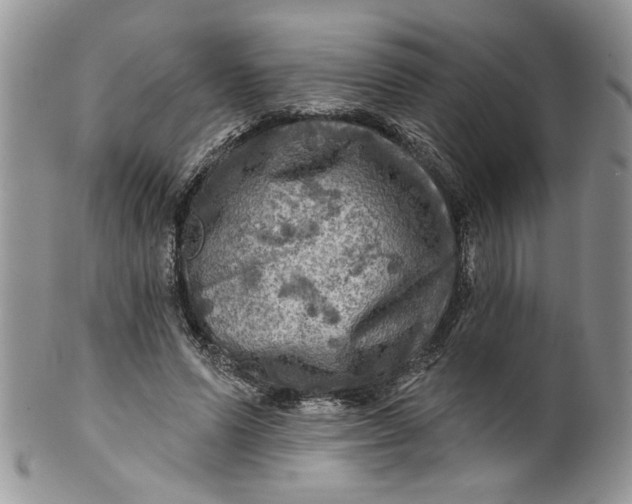 X0000099950591200806131449