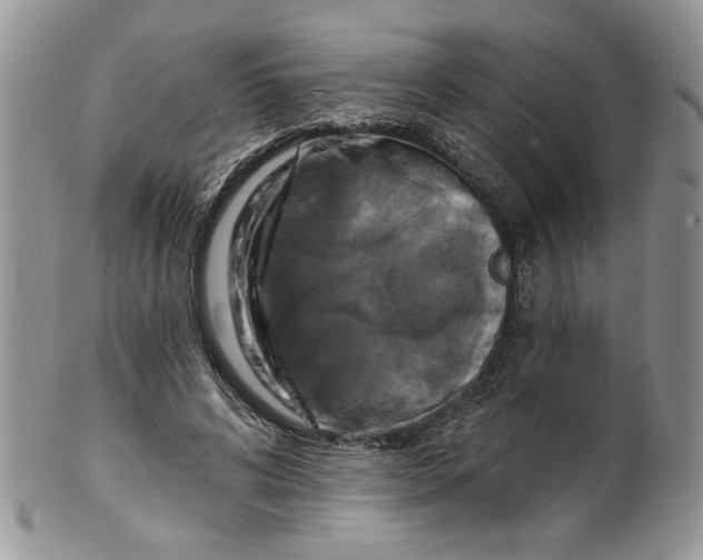 X0000099950592200806131449