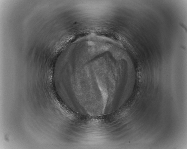 X0000099950593200806131449