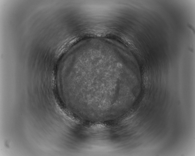 X0000099950594200806131449