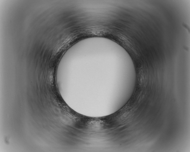 X0000099950595200806131449