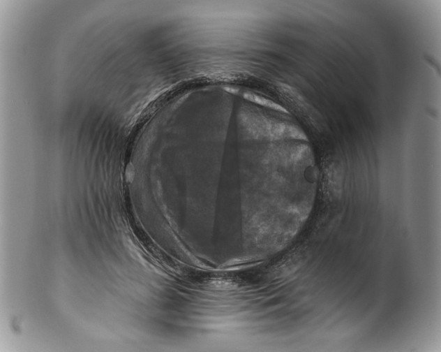 X0000099950596200806131449