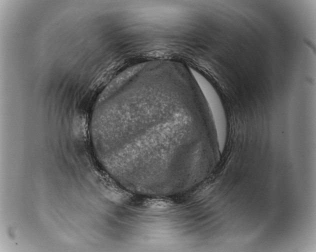 X0000099950597200806131449