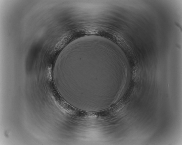 X0000099950598200806131449