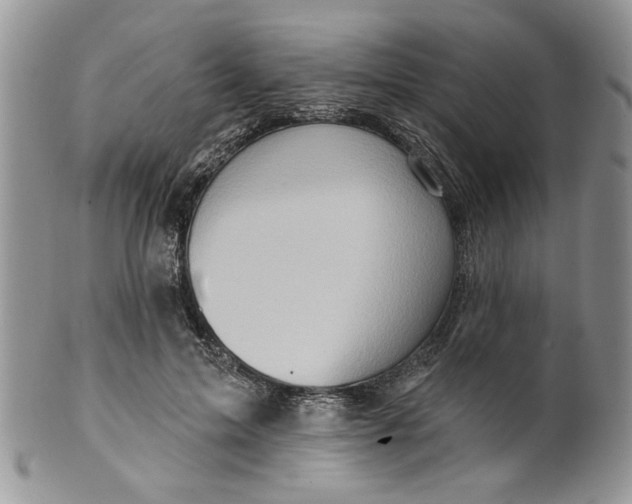 X0000099950599200806131449