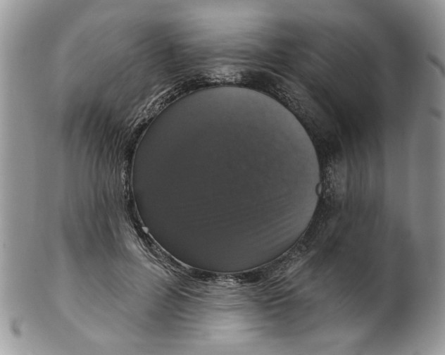 X0000099950600200806131449