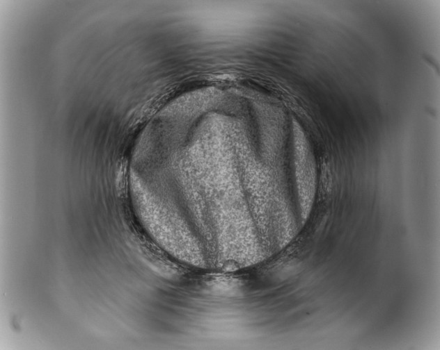 X0000099950601200806131449