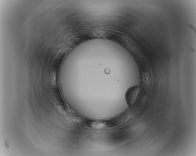 X0000099950602200806131449