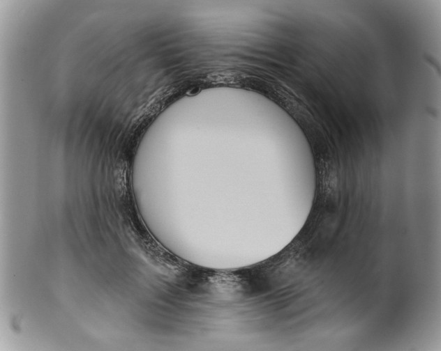 X0000099950603200806131449