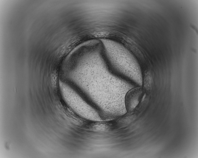 X0000099950604200806131449