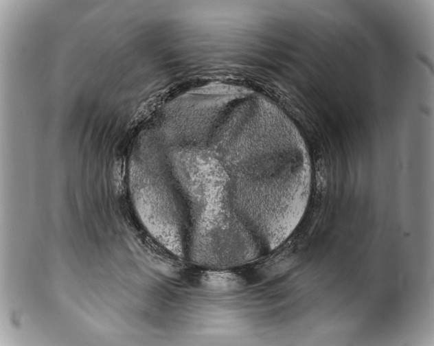 X0000099950605200806131449