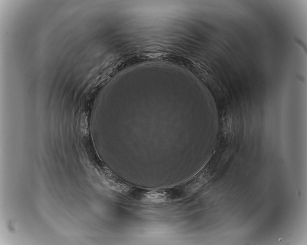 X0000099950606200806131449