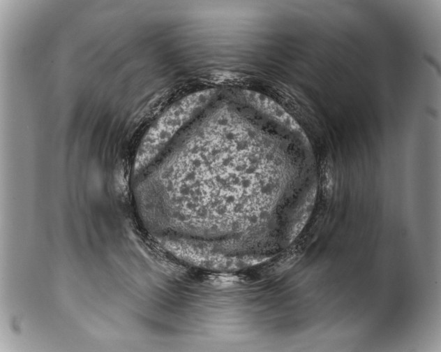 X0000099950607200806131449