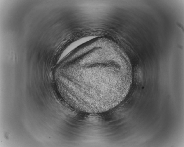 X0000099950608200806131449