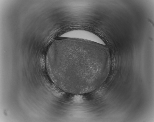 X0000099950609200806131449