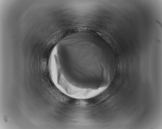 X0000099950610200806131449