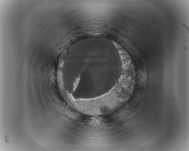 X0000099950612200806131449