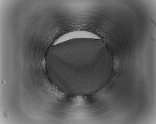 X0000099950613200806131449