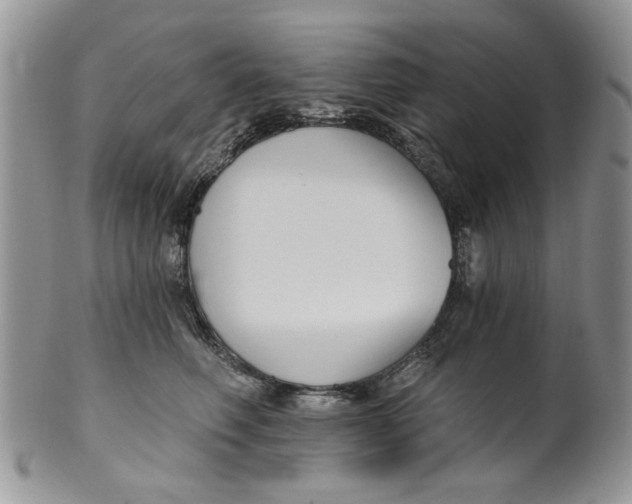 X0000099950614200806131449