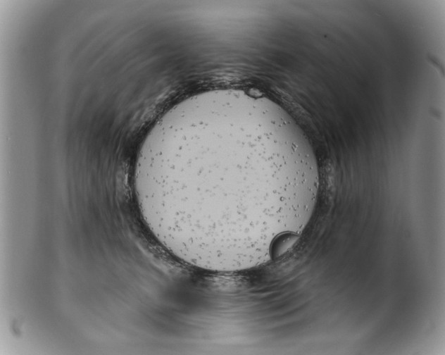 X0000099950615200806131449